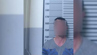 Воронежца арестовали на 14 суток за мат в уральском аэропорту