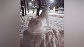 В популярном воронежском парке из снега слепили огромного тигра