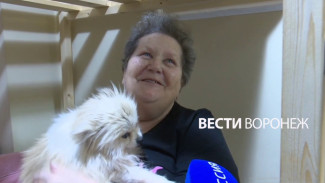 Воронежцы рассказали об эвакуации из СНТ до подрыва части ракеты