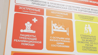 Самая скорая помощь. Воронежцам рассказали о новой системе распределения пациентов