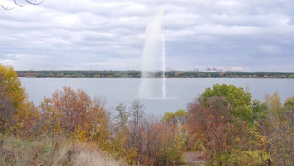 Бизнесмен посоветовался с экологами насчёт создания фонтана в Воронежском водохранилище