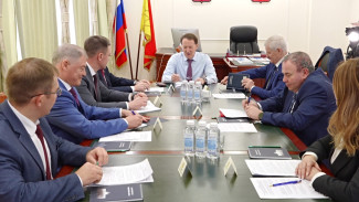 В Воронеже обсудили новую структуру и состав восьмого созыва областной думы