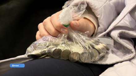 Воронежцы за пять дней сдали в банки 128 тыс. монет