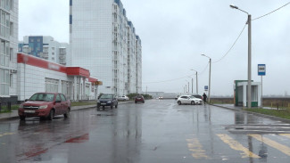 Микрорайон под Воронежем оставили без прохода к остановке и маршруток