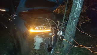 Две женщины пострадали после столкновения кроссовера с грузовиком под Воронежем
