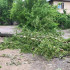 При урагане без света остались 30 населённых пунктов в Воронежской области