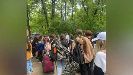 В воронежский лагерь прибыли дети из попавшей под обстрелы Белгородской области