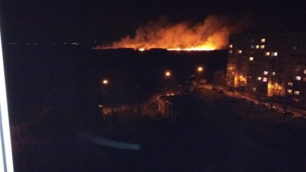 Крупный пожар в воронежском микрорайоне напугал горожан