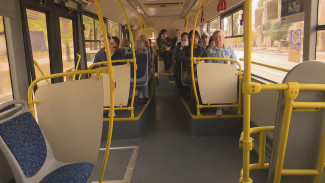 Вместо ПАЗов. Как автобусы от Минтранса помогут Воронежу с транспортной реформой