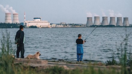 Масштабная модернизация: в Нововоронеже обновляют систему видеонаблюдения