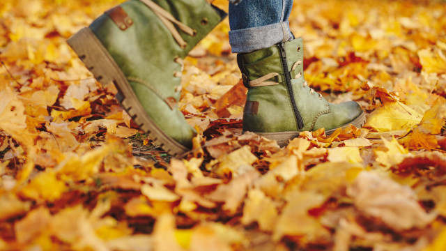 Тела семи пропавших без вести людей нашли в Воронежской области