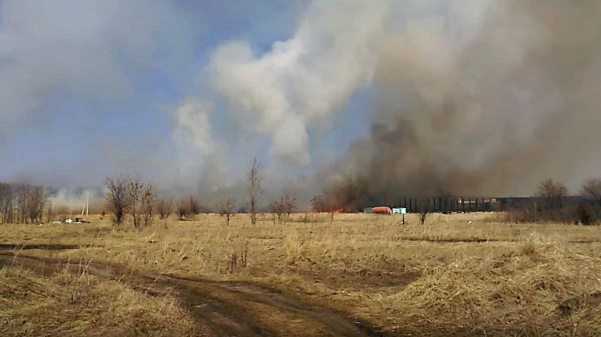 Пожар в богучарском районе. Пожар в отрадном воронеж. плесновка воронежская область.