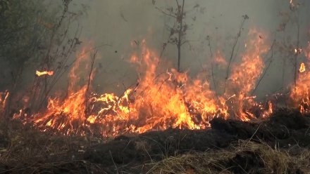 В Воронежской области при сжигании мусора погиб мужчина