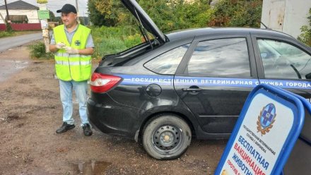 В Воронеже бесплатно вакцинируют кошек и собак от бешенства