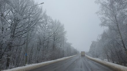 Трассы в Воронежской области засыпало снегом