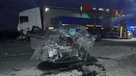 На трассе М-4 «Дон» в Воронежской области легковушка влетела под фуру: погибли двое