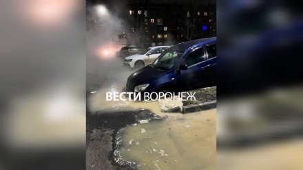 Воронежцу после двух претензий выплатили компенсацию за провалившееся за землю авто