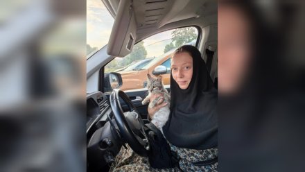Монахиню-волонтёра с бездомными кошками выгнали из перехода у воронежского ТЦ