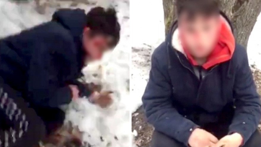 Полиция назвала инсценировкой самосуд над школьником, избившим деда в Воронеже