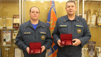 В Воронеже пожарных наградили за спасение из огня 3 детей и 94-летней женщины