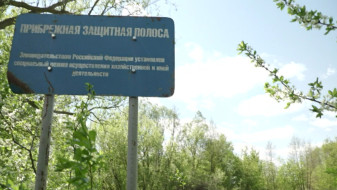 Жители села под Воронежем пожаловались на отдыхающих в глэмпинге