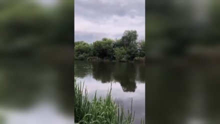 Росприроднадзор начал проверку после сообщения об откачке воды из озера Круглое в Воронеже