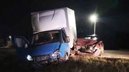 Три человека пострадали после езды с пьяным водителем в Воронежской области