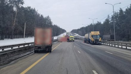 Появились подробности ДТП с грузовиками «Красное&Белое» на трассе в Воронежской области