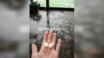 Град спрогнозировали в Воронежской области в День России