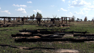 «Собирали вещи». Как охотники за металлом сожгли 100 га леса у воронежского села