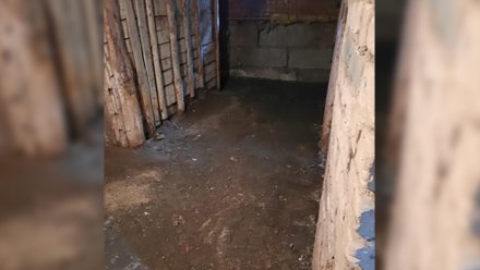 Коммунальщики осушили «болото» в подвале дома в Воронеже