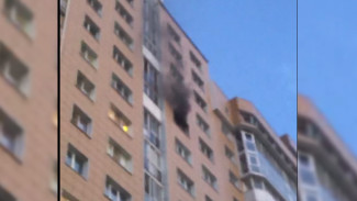 В воронежской многоэтажке вспыхнул пожар