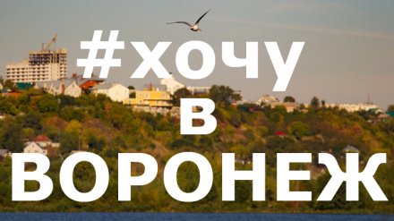 10 лучших фото жителей Воронежской области из социальных сетей за неделю