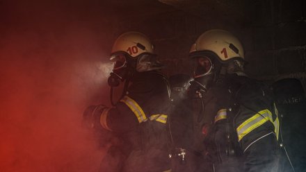 Пожарные эвакуировали 24 воронежцев из многоэтажки