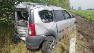 Мужчина и женщина из Липецкой области пострадали в ДТП под Воронежем
