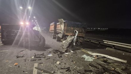 Молодая москвичка погибла в столкновении микроавтобуса с фурой на воронежской трассе