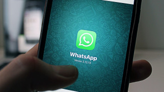 Воронежские чиновники прокомментировали новость о запрете WhatsApp в школах