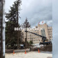 У воронежского диагностического центра спилили ели