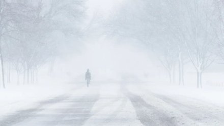 Воронежцев предупредили о погодной опасности из-за снега и метели