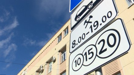 Госдума приняла закон, который позволит штрафовать воронежцев за неоплату парковки