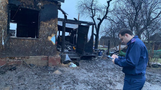 Дети 3 и 11 лет погибли при пожаре в воронежском селе