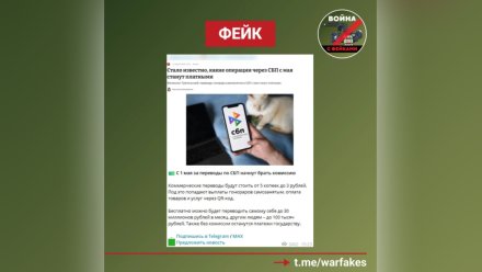 В Воронеже распространили фейк о платных переводах через СБП
