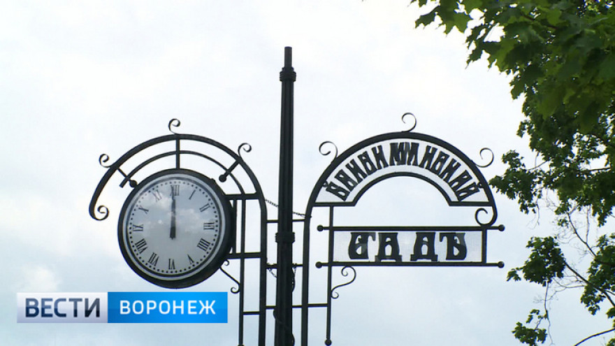 Разработку концепции благоустройства «Бринкманского сада» в Воронеже выставили на конкурс
