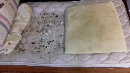 Воронежские врачи прокомментировали снимки «страшного отделения» райбольницы