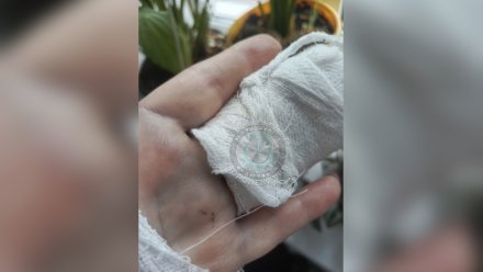 В Воронеже пассажирка сломала палец во время резкого торможения автобуса