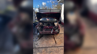 В Воронежской области водитель ВАЗа попал в аварию из-за упавшего дерева