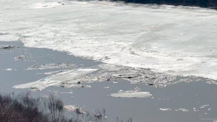 Два низководных моста ушли под воду в Воронежской области