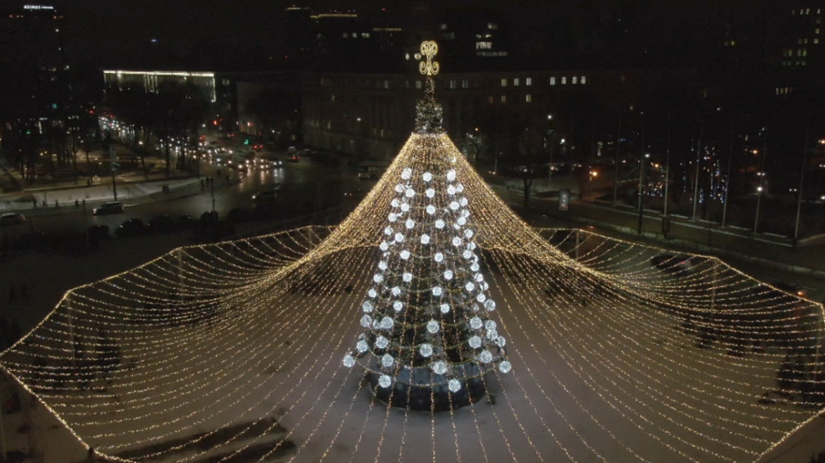 новогодняя елка в воронеже 2023 на площади