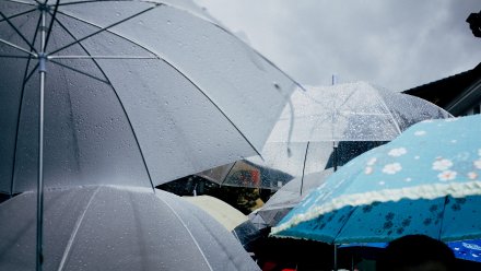 В Воронежской области выпадет град