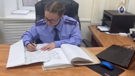 Дело о жестоком убийстве женщины в Нововоронеже дошло до суда спустя 13 лет